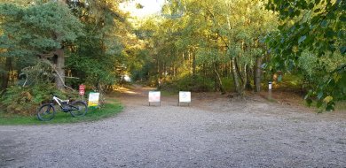 20181010_165950.jpg 20181010_165950.jpg
