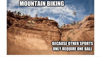 47BA2408-0E05-44C2-956D-24833E1A5BEE.png