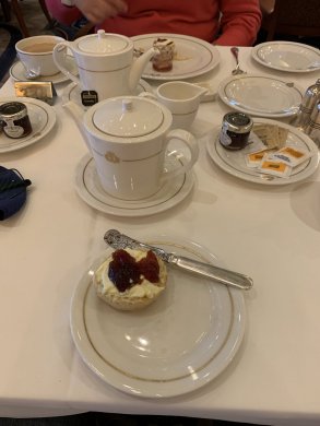 964C31A3-E05A-4018-B058-AB009C399D48.jpeg