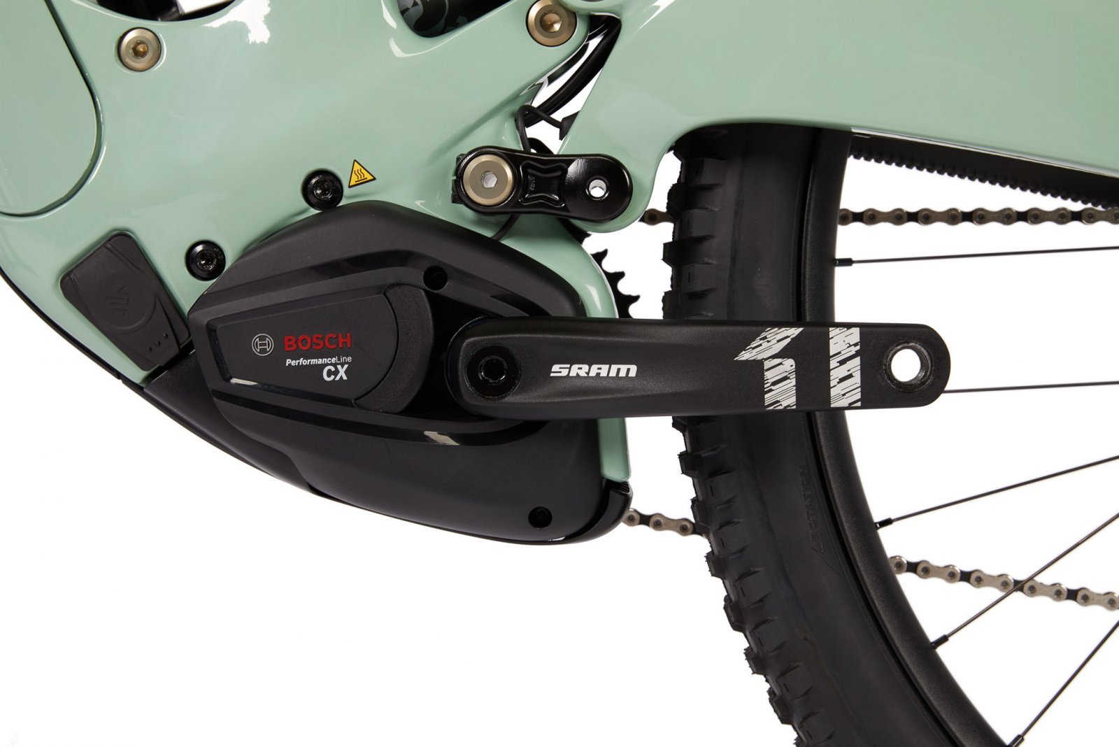 Ibis_Oso_Forest_Service_Green_Motor.jpg