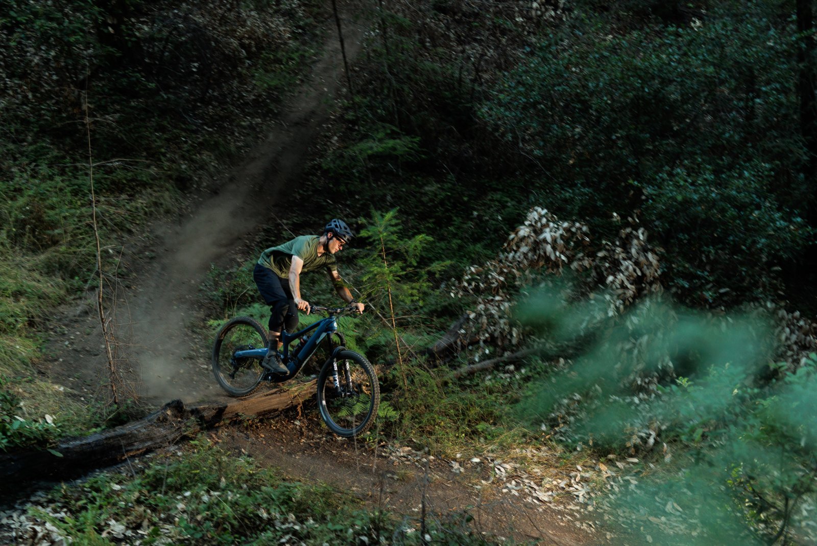 Ibis_Oso_action_LM (61).jpg