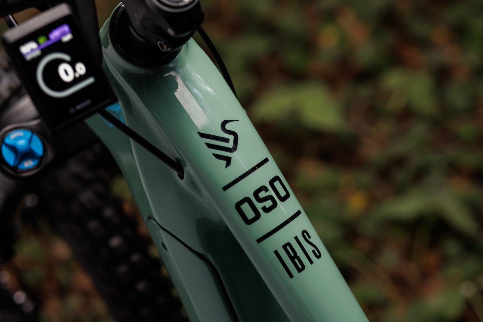 Ibis_Oso_Green_Outdoor_LM(10).jpg