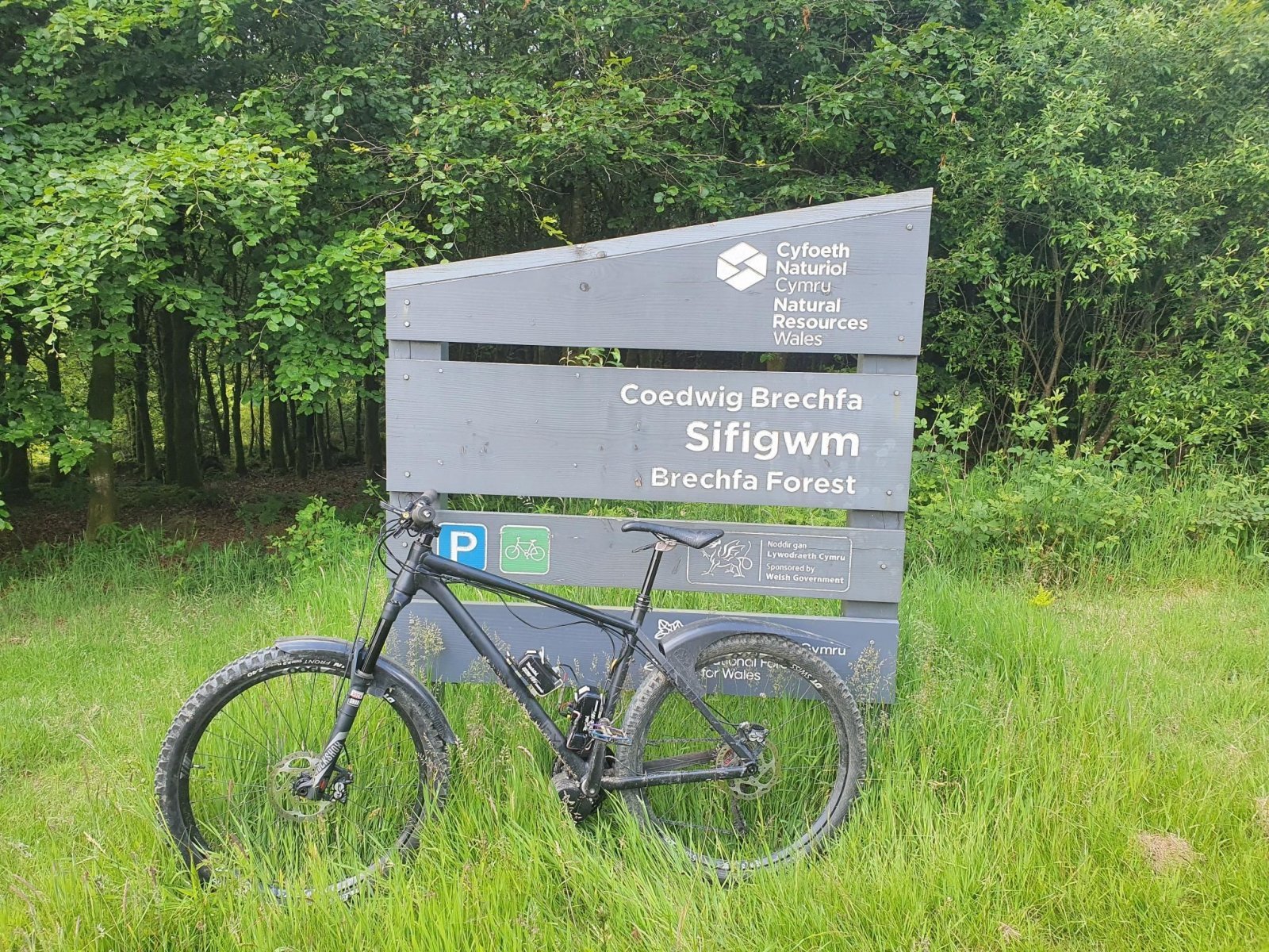 Sifigwm.jpg