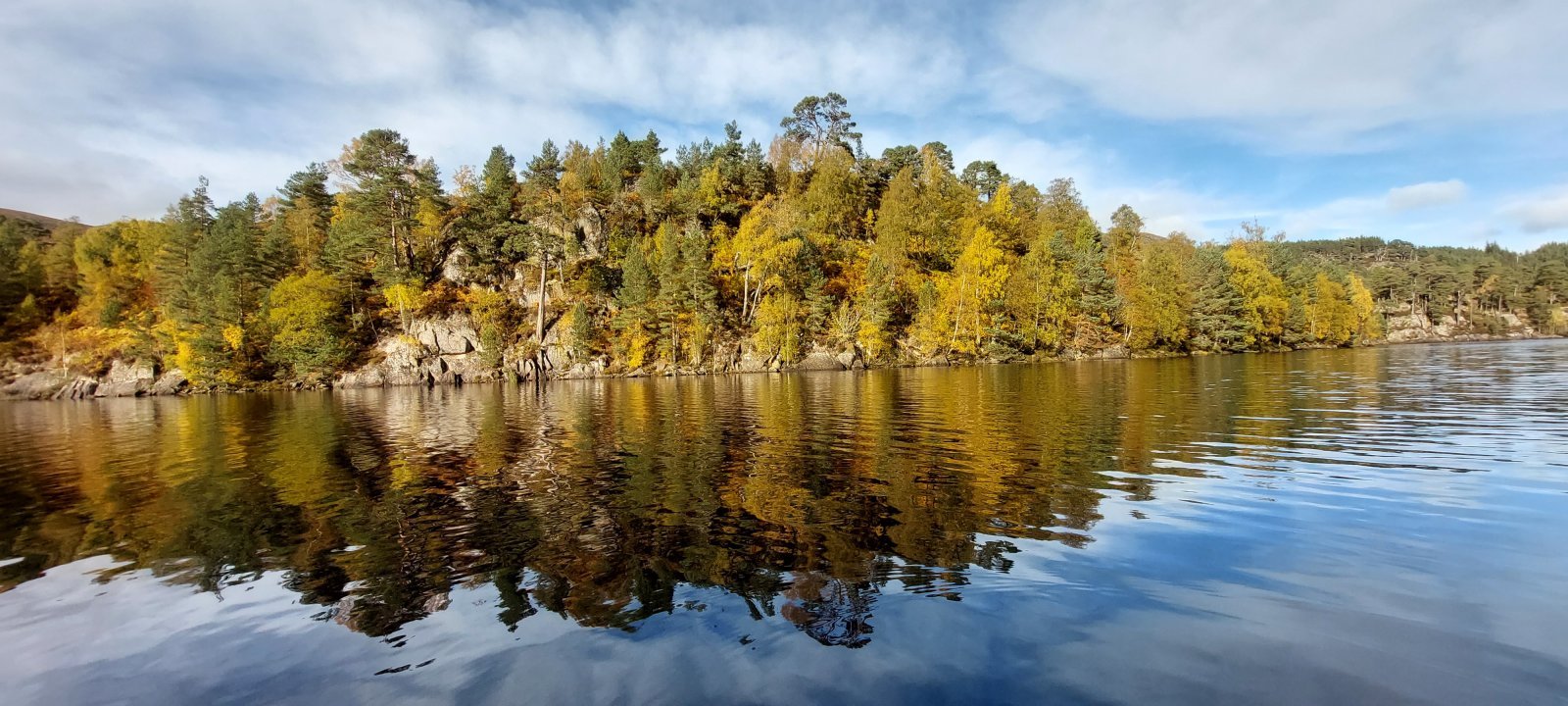 20221019_143755.jpg