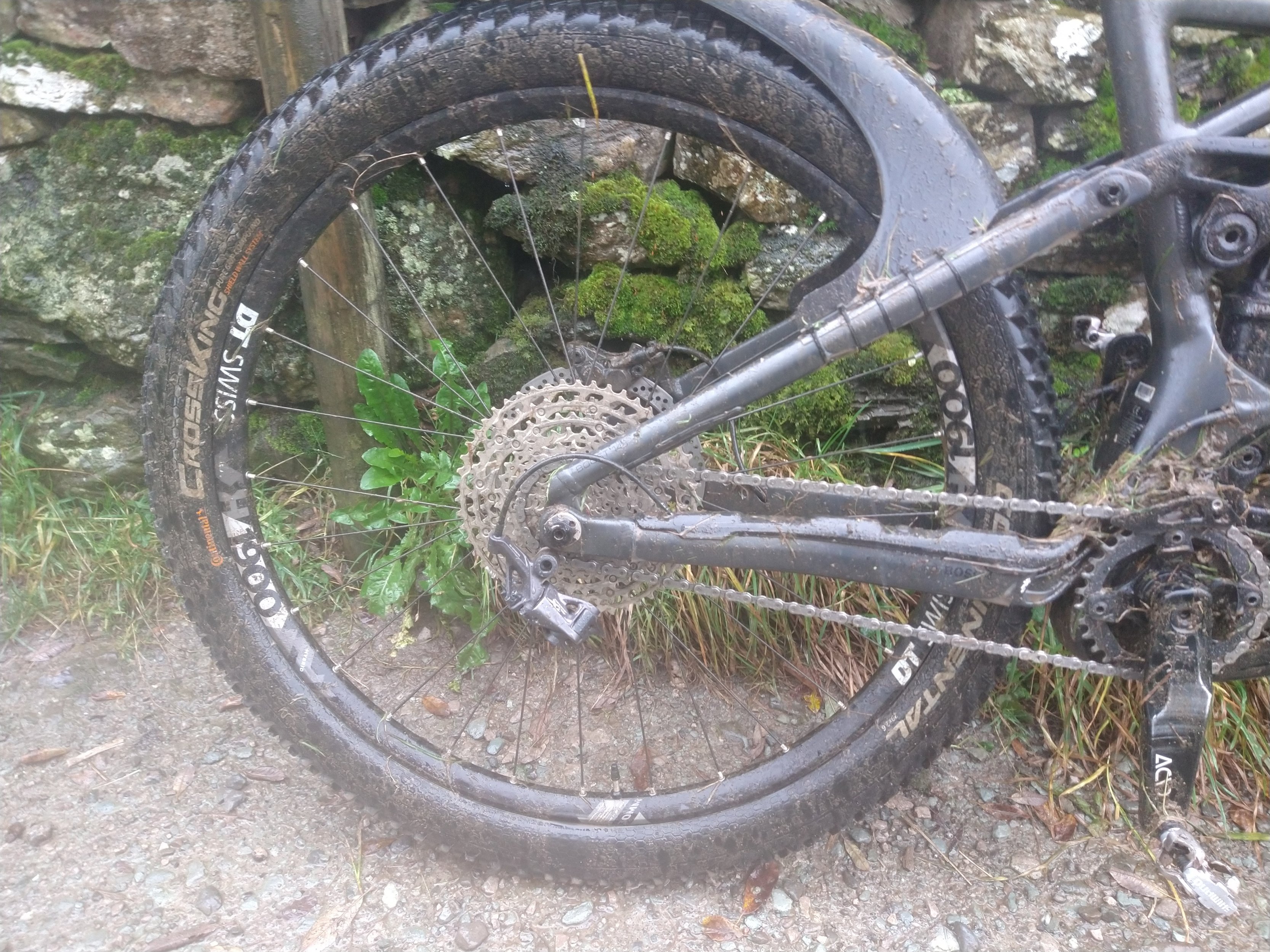 IMG_20221023_122355301.jpg