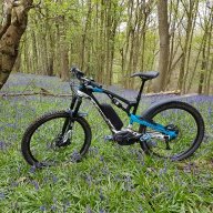 Ebikegum