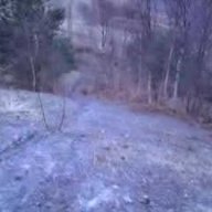 Bigairsam