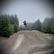 thebeardedfool