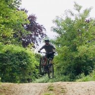 Steezy Rider