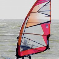 Windsurfer