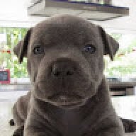 stormthestaffy