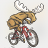 Moose