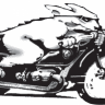 RapidDog