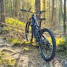 Outinthewoods