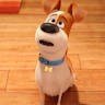 Charlie4268