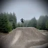 thebeardedfool