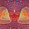 TheMirrorVision