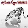 aybarssurucu