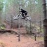 Dr Shreds