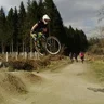 DMR Dave