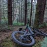 loam-e