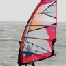 Windsurfer