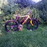 Tonvo