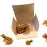 boxsoffrogs