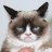 GrumpyKat
