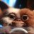 Gismo6303