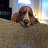 liambasset
