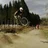 DMR Dave
