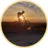 Ralf68