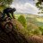 Shardlake1543