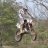 oldmanmx