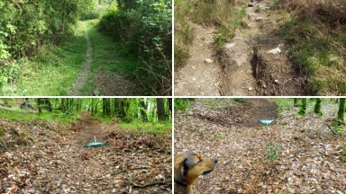 Trail Spring Cleaning