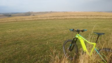 Wondering Wiltshire