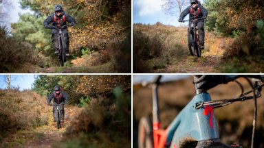 Cannock Chase