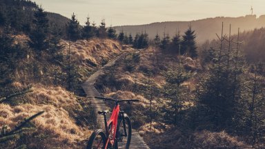 Specialized Turnbo Levo Comp Carbon @ Afan