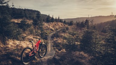 Specialized Turnbo Levo Comp Carbon @ Afan