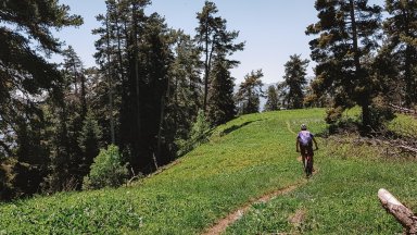 borjomi_trail.jpeg