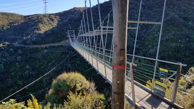 M_Swing Bridge Makara Park.jpg