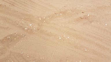 20190902_153022.jpg