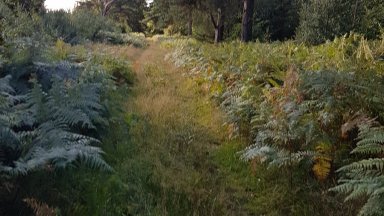 20190909_153108.jpg