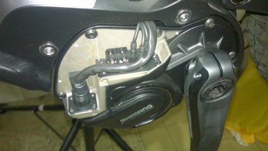 WP_20190311_009.jpg