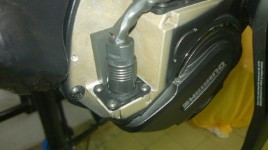WP_20190311_011.jpg