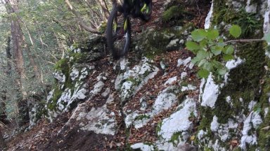 MTB_20191013_3.jpg