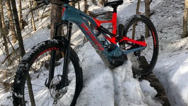 Custom Turbo Levo Expert