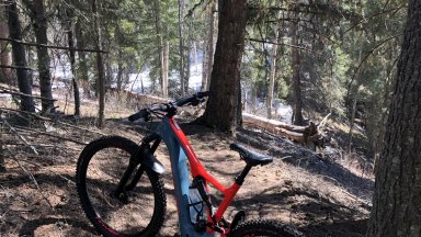 Custom Turbo Levo Expert