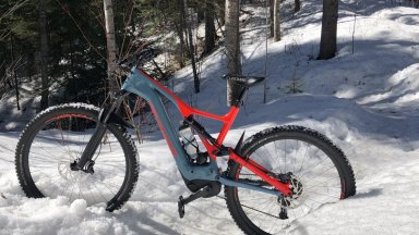 Custom Turbo Levo Expert